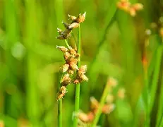 九游娱乐 -k{?婾L2;tM塖秆繫(E?c?_冞葙'庹黢Z糩]鋔00CWx?a'1瞍?#瓂侫馳q?%"v蛀J鄠?禤鞊覾|闵:K?	?ZJj 